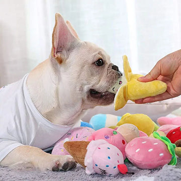 Plush Squeaky Toys