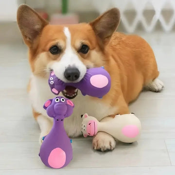 Soft Rubber Chewy Toys Four Styles Squeaky Interactive Throwing Games Cute And Fun