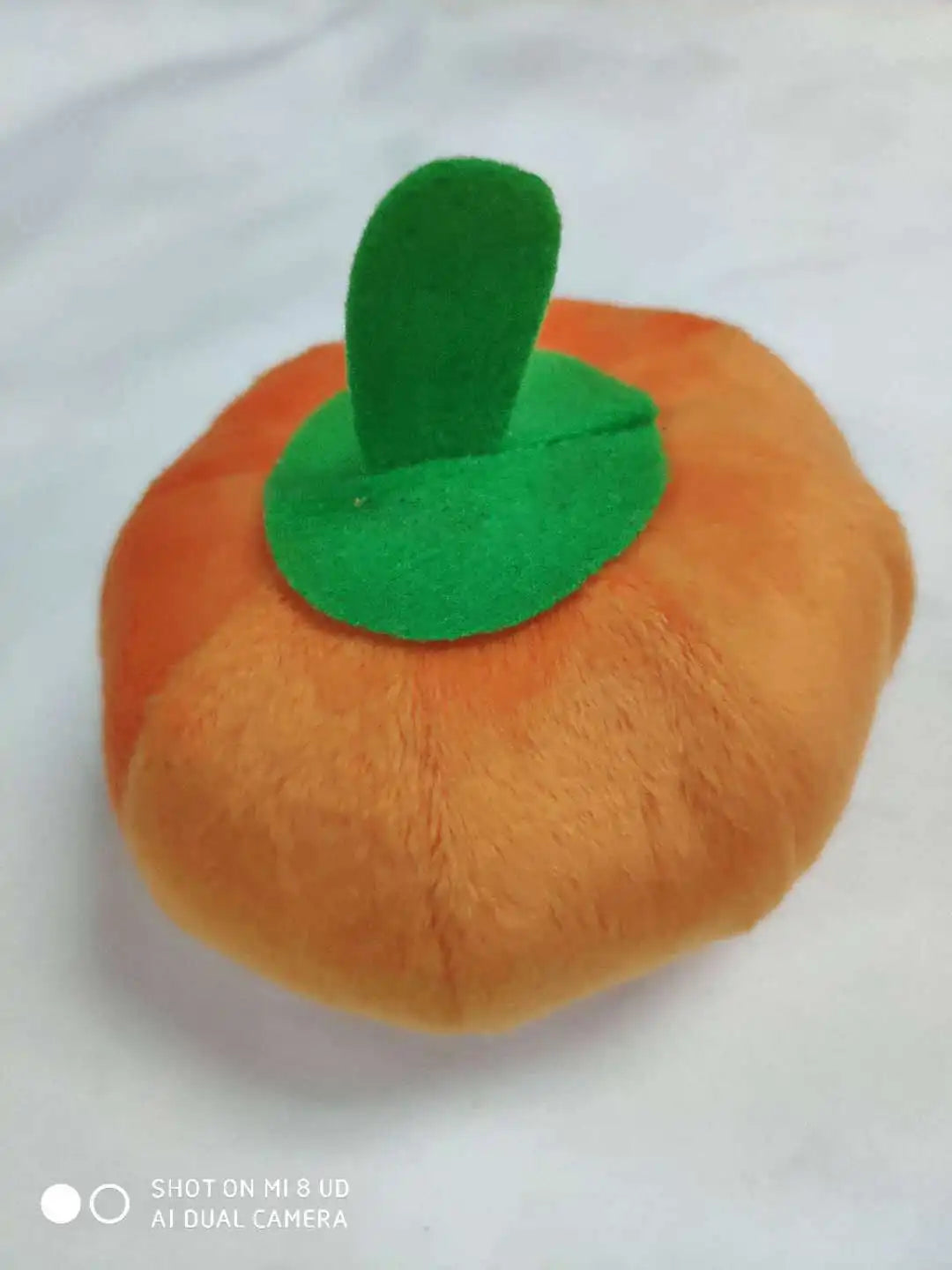 Plush Squeaky Toys