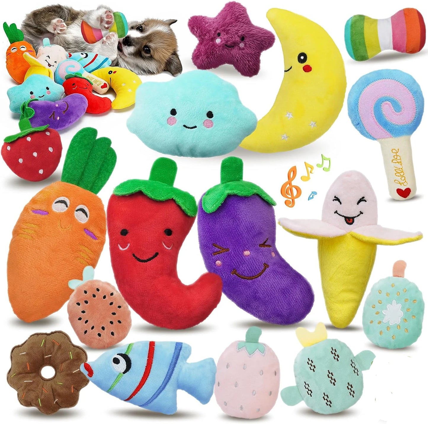 Plush Squeaky Toys