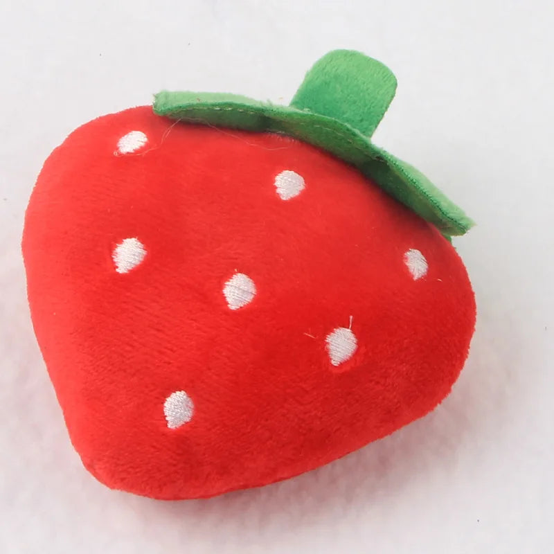 Plush Squeaky Toys