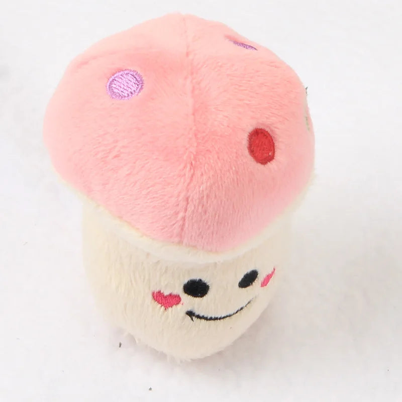 Plush Squeaky Toys