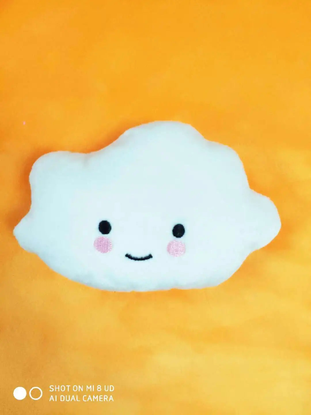 Plush Squeaky Toys