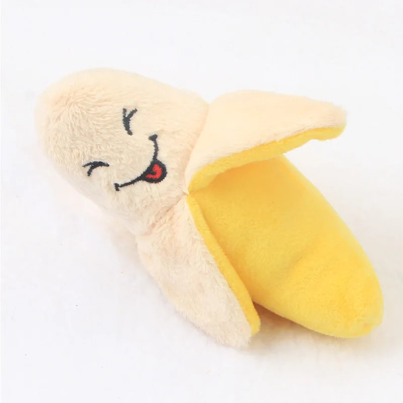 Plush Squeaky Toys
