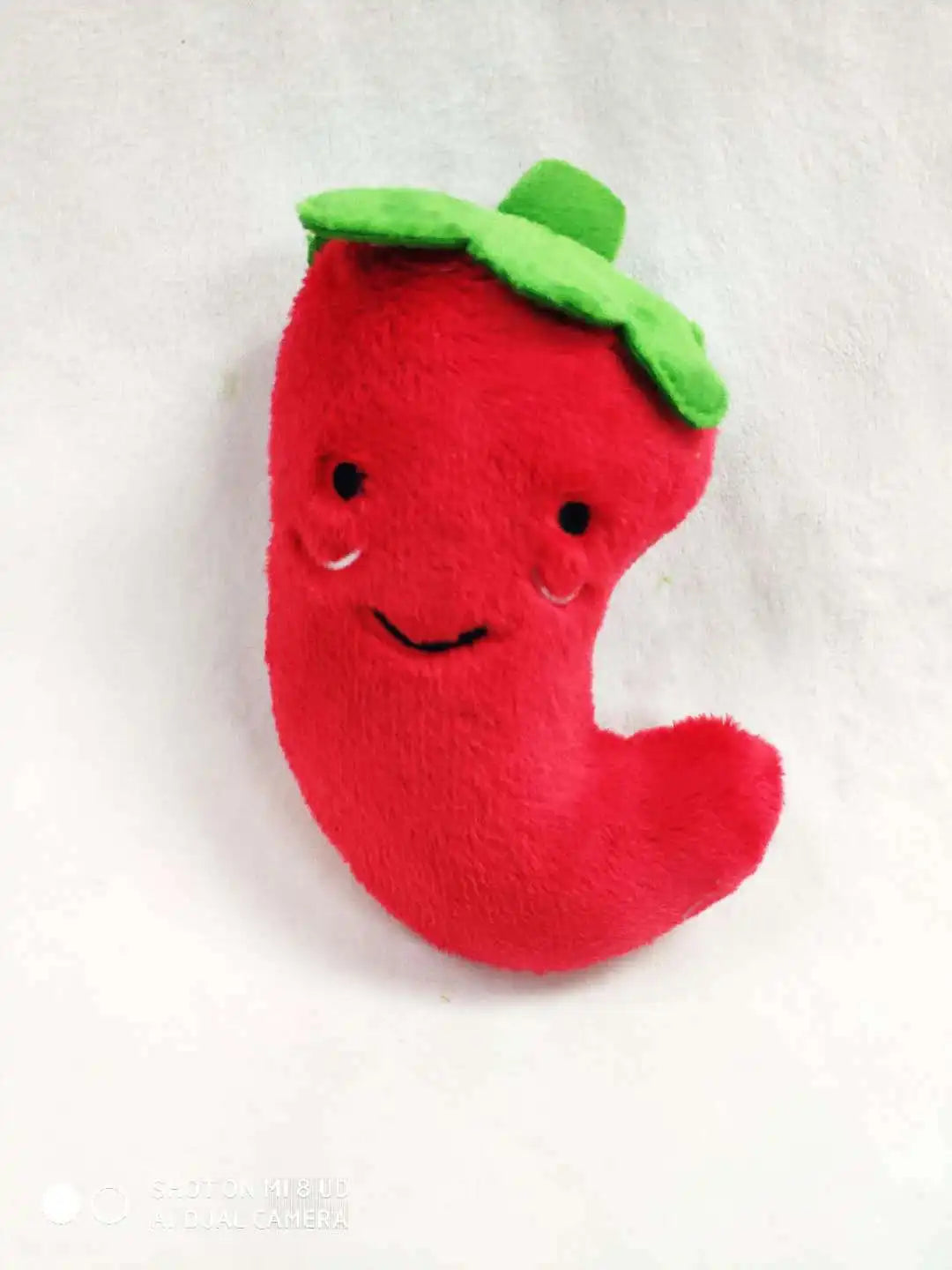 Plush Squeaky Toys