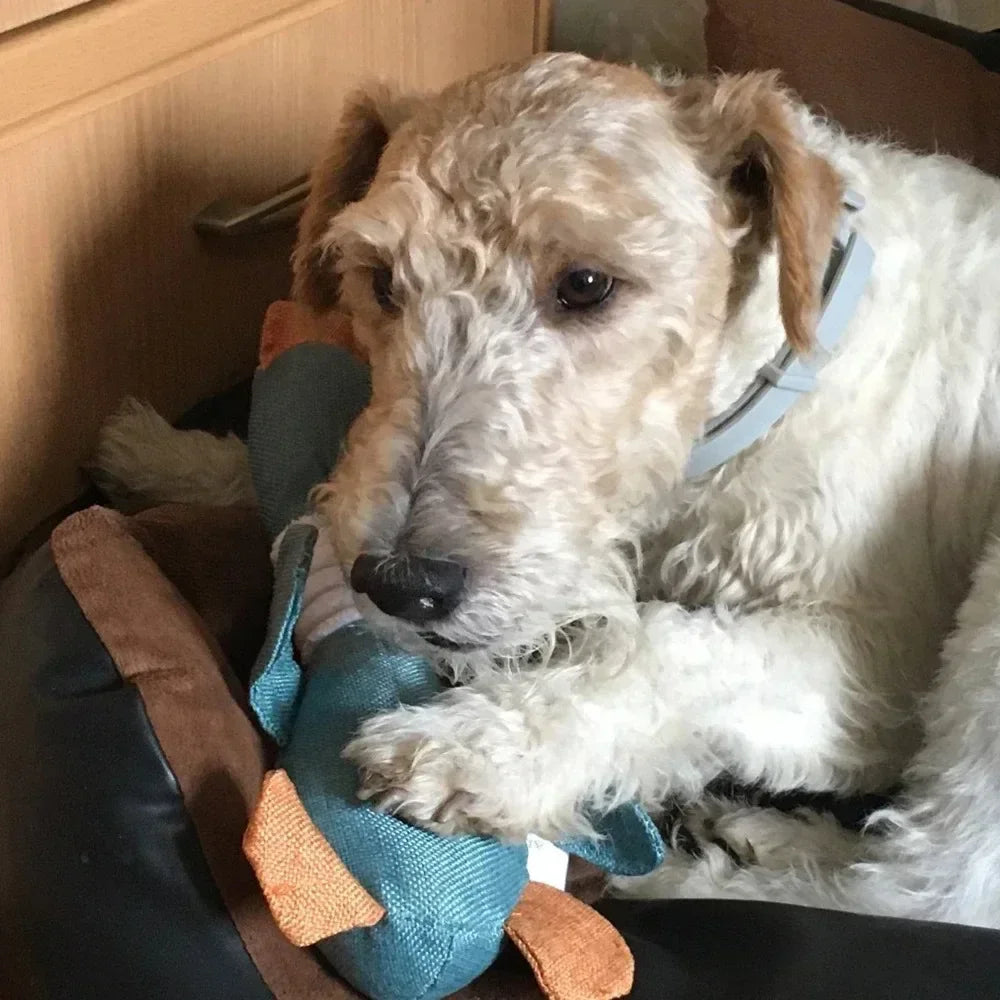 Squeaky Wild Goose Toys Interactive