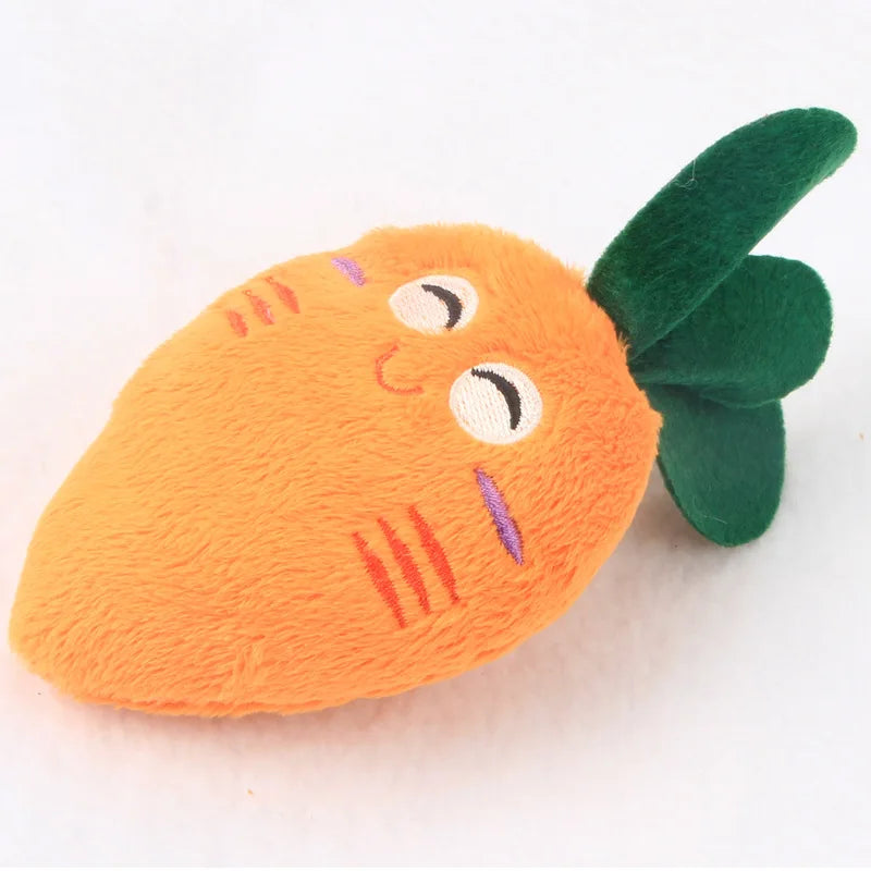 Plush Squeaky Toys