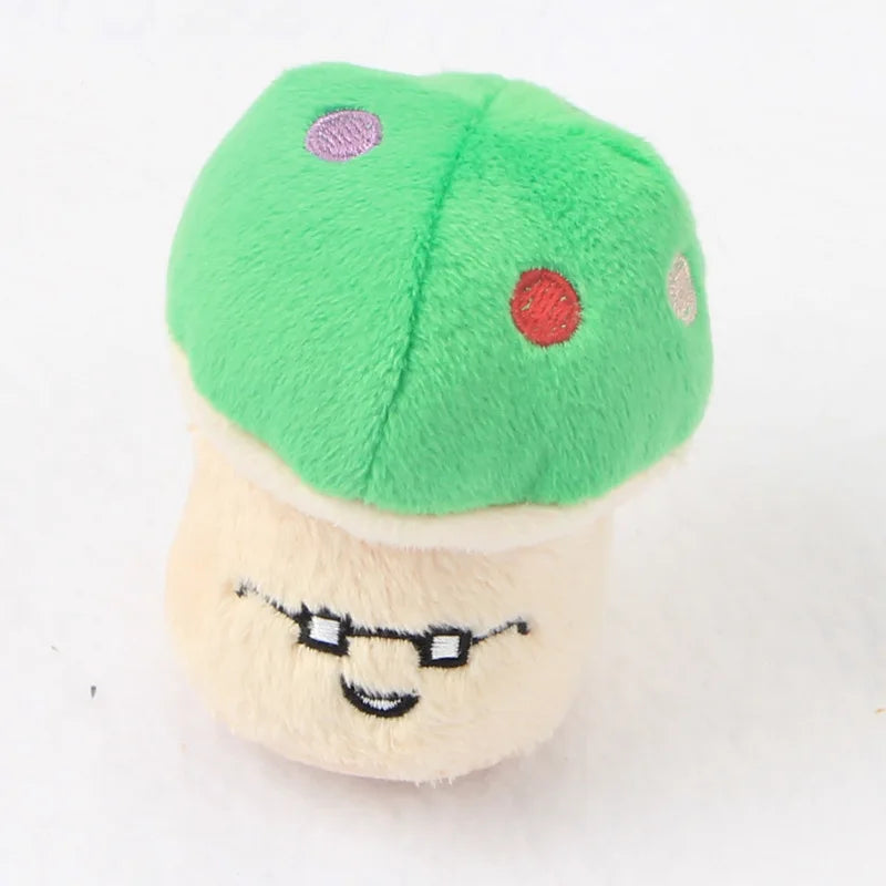 Plush Squeaky Toys