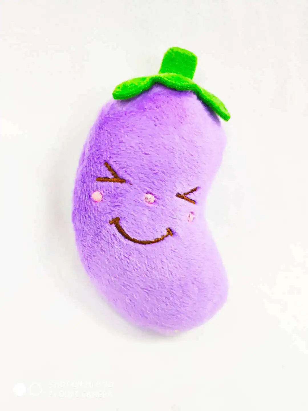 Plush Squeaky Toys