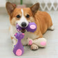 Soft Rubber Chewy Toys Four Styles Squeaky Interactive Throwing Games Cute And Fun