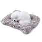 Car Stuffed Toys Lovely Simulation Animal Plush Sleeping Dogs Toy Kids For Car Decor