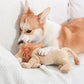 Squeaky Pet Toys Plush Toys Animals Shape Accessories Lion Dinosaur
