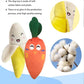 Plush Squeaky Toys