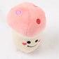 Plush Squeaky Toys
