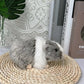 Stuffed Animals Guinea Pig Stuffed Simulation Real Life Plush Mouse Dolls Fluffty Cute Dolls Hamster Doll Kids Toys