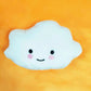 Plush Squeaky Toys