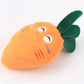 Plush Squeaky Toys